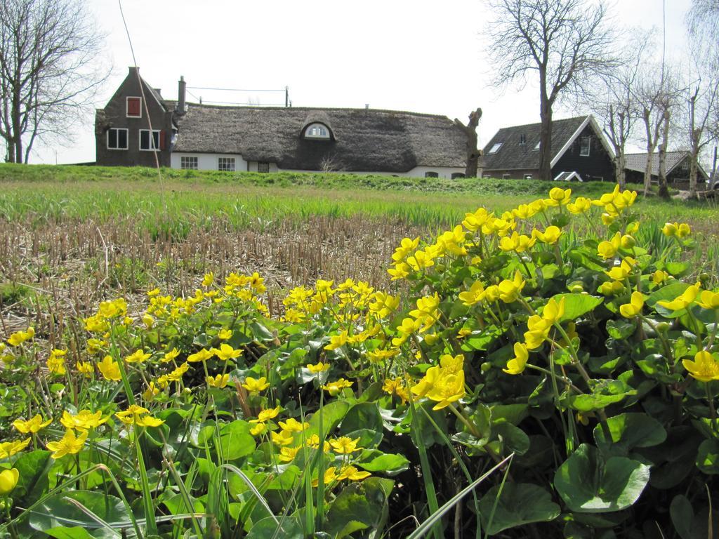 Boerderij Honswijck Guest House Weesp Exterior photo
